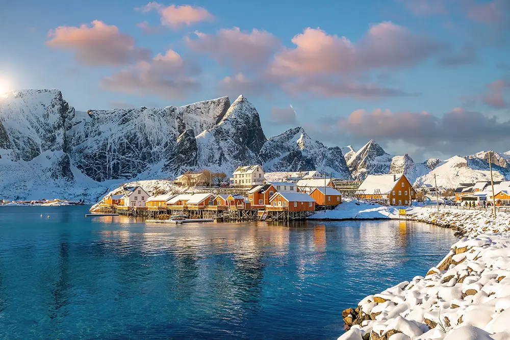 Norway Ardalci.webp